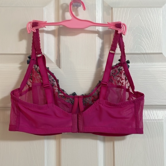 💖 Fabulous Felina Fushia Bra! - Picture 2 of 4
